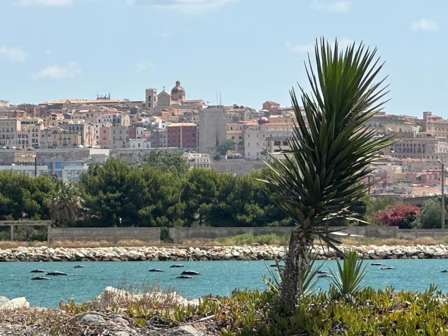 Un Passo Dal Mare E Dalla Citta. Cagliari Buitenkant foto
